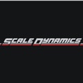 Scale Dynamics